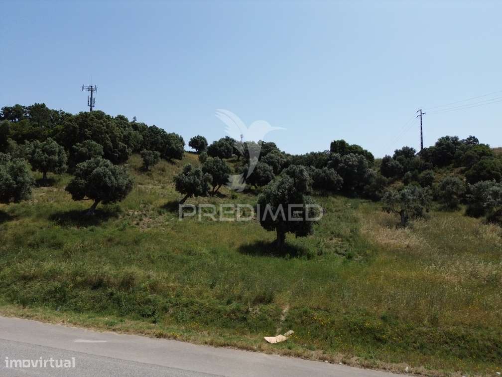 Terreno Rústico - Vila Moreira, Alcanena - Grande imagem: 3/21