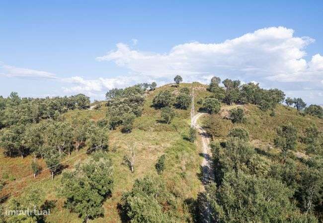Terreno - Adaúfe, Braga - Grande imagem: 3/10