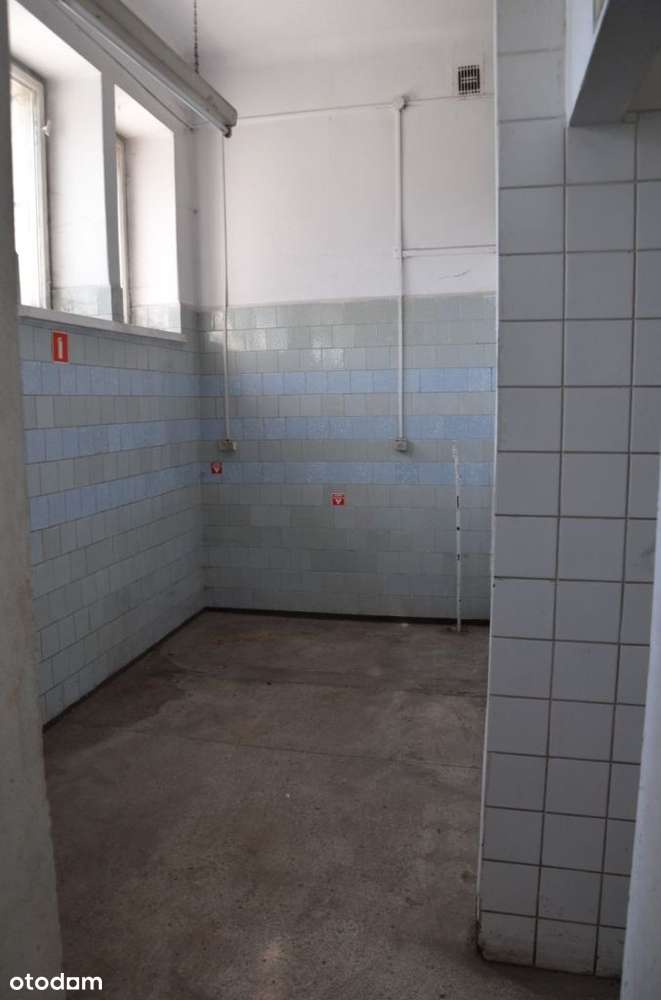 Mierzęcice- lokal do wynajęcia - Pełny obrazek: 5/6