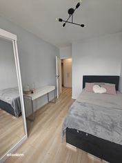 Sprzedam 3 pokoje, 51,5m2, ul. Winnicka - Pełny obrazek: 4/12