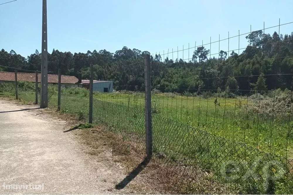 Terreno Rústico em Anta - Grande imagem: 2/5