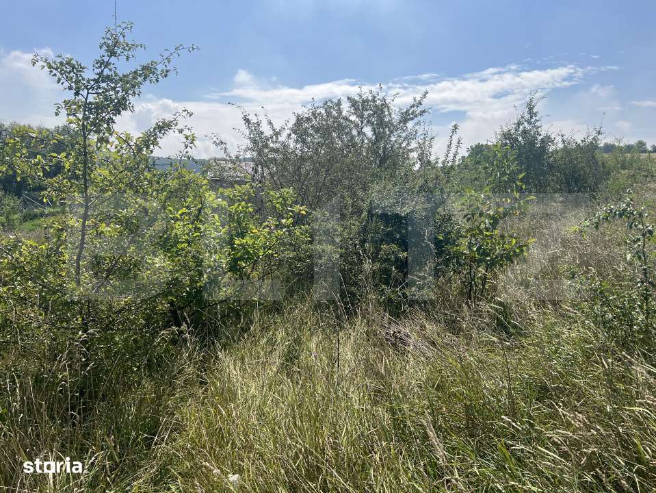 Teren 1400 mp, intravilan – Viile Dealul Mic, zona linistita - Imagine principală: 4/4