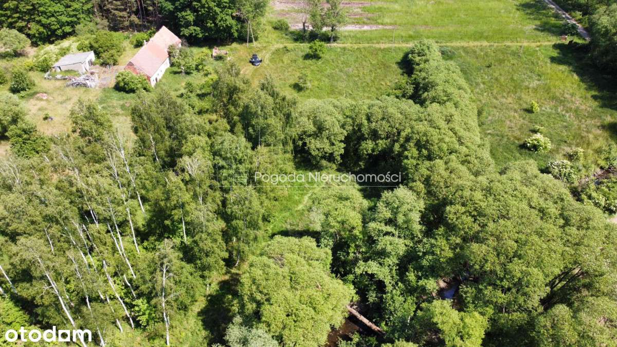 Działka budowla z małym stawem-12