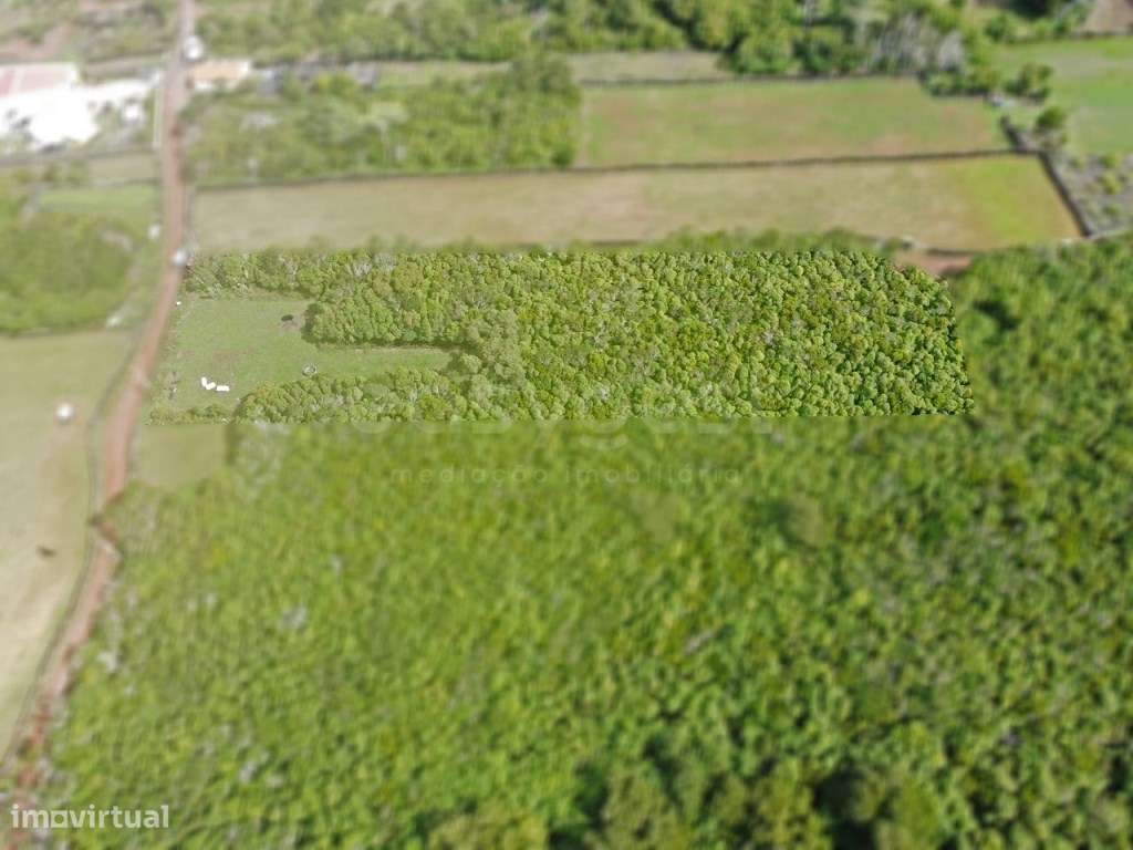Terreno com vista para a Montanha do Pico na Freguesia das Bandeira... - Grande imagem: 5/16