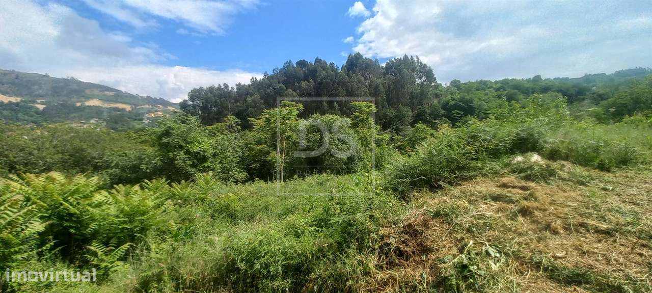 Quinta T2 Venda em Paredes de Viadores e Manhuncelos,Marco de Canavese-30