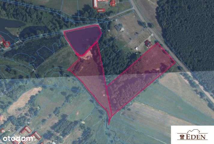 Działka, 29 617 m², Zgórznica-4