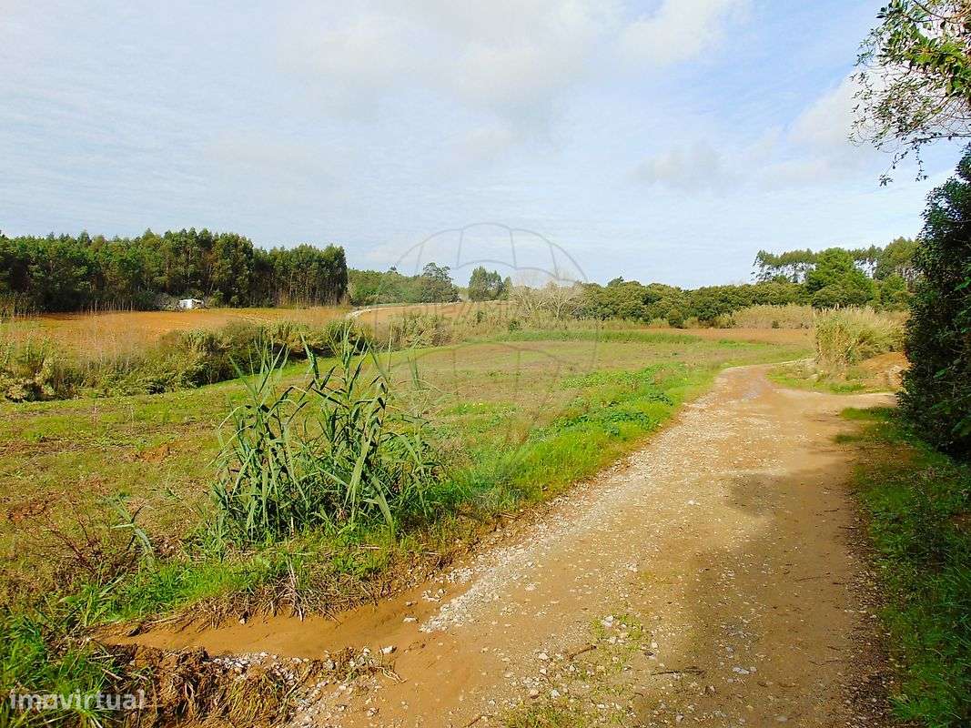 Terreno  para venda - Grande imagem: 5/10