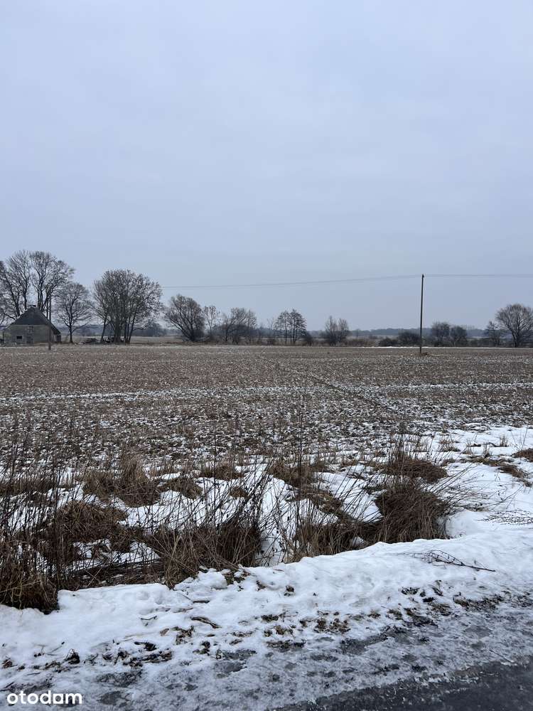 Ładna blisko Koszalina do morza (4km Mielno) las, jezioro, media. Raty-4