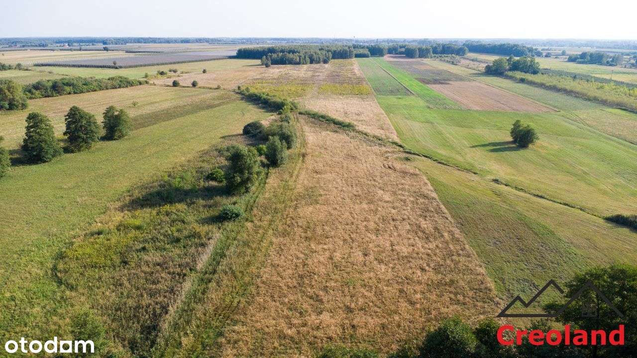 Działka z warunkami zabudowy blisko siedliska-8