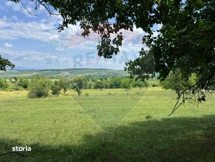 Teren Intravilan de Vanzare in Somcuta Mare - Imagine principală: 5/10