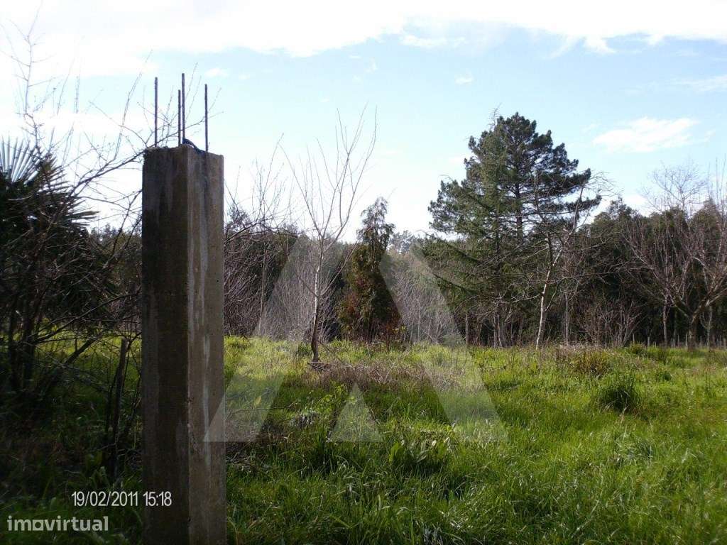 Terreno com 3500 m2 em Aguada de Cima, Águeda - Grande imagem: 2/7