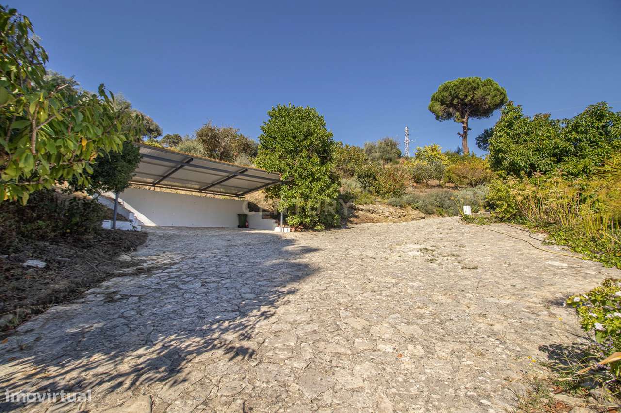 Quinta na Arrábida com moradia T5 de 364 m2 em lote de 13 520 m2 Onde-48