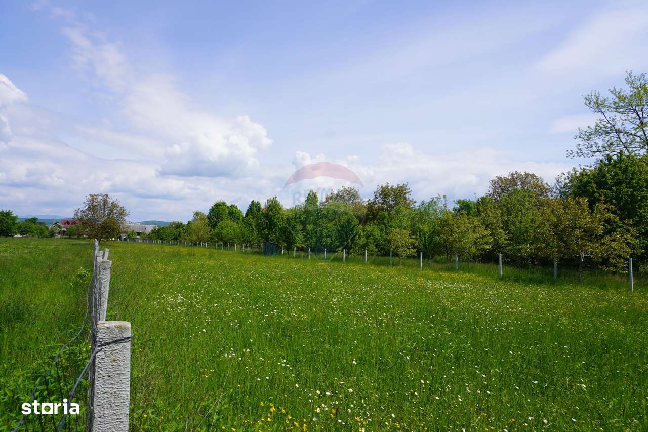 Teren 2,486mp Sighetu Marmatiei / Strada Constantin Dobrogeanu-Gherea - Imagine principală: 5/5