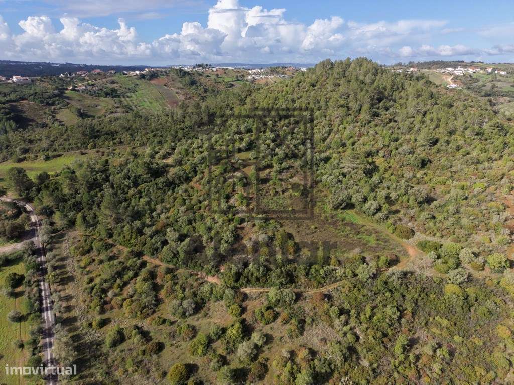 Oportunidade Única de Investimento Agrícola em Alenquer-22