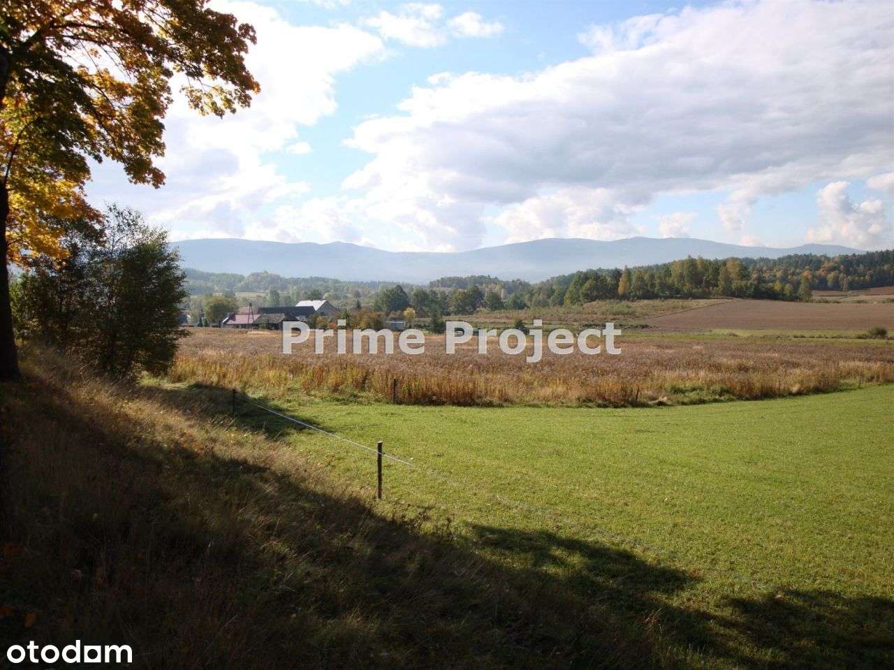 Teren zabudowy usługowej - Pełny obrazek: 5/7