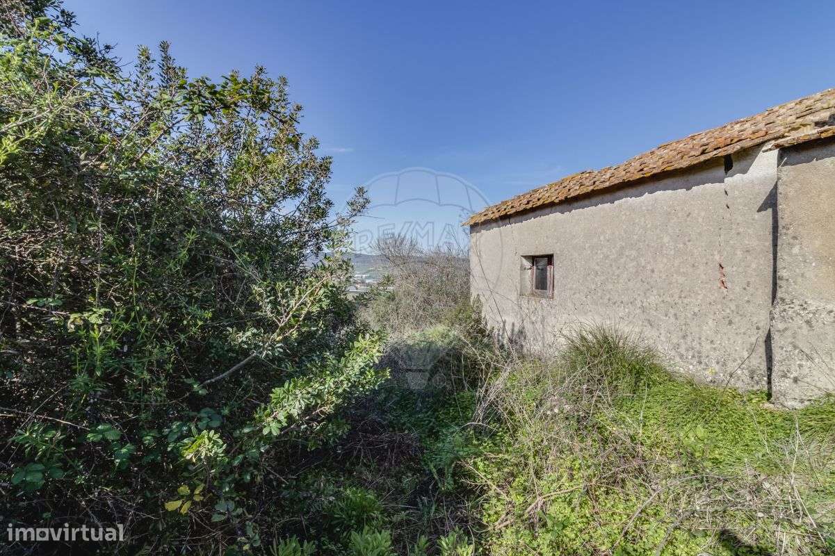 Quinta T1 para venda - Grande imagem: 3/20