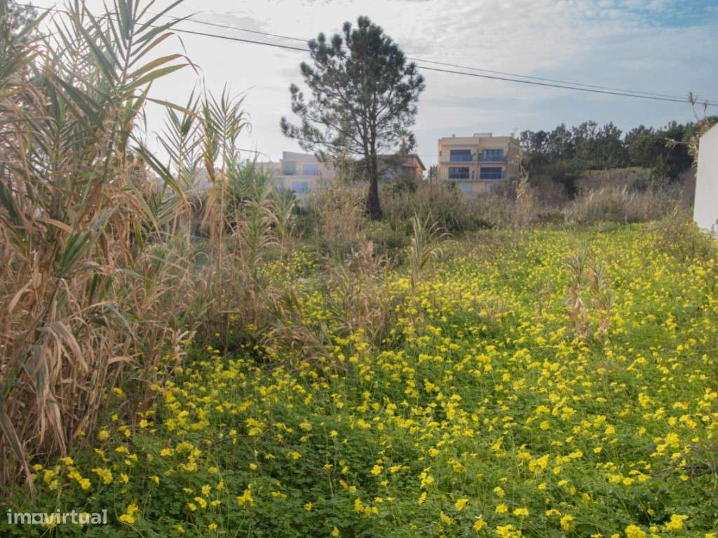 Terreno para construção . - Grande imagem: 4/11