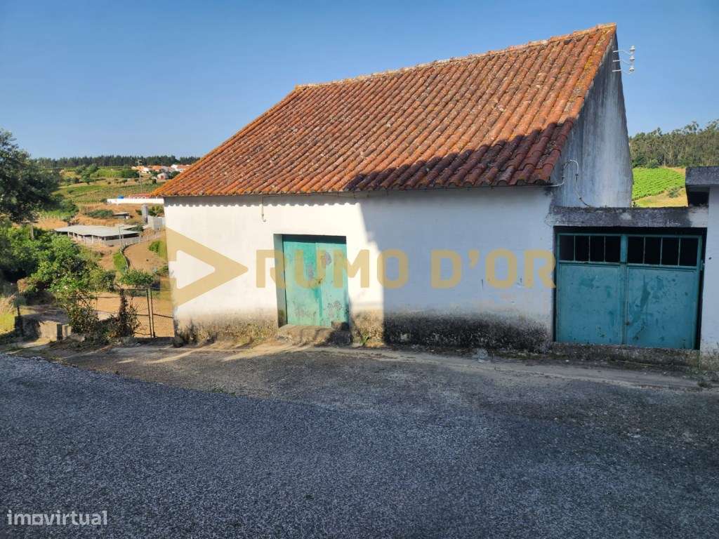 Armazém com Terreno e Vista de Campo em Vila Chã - Grande imagem: 4/15