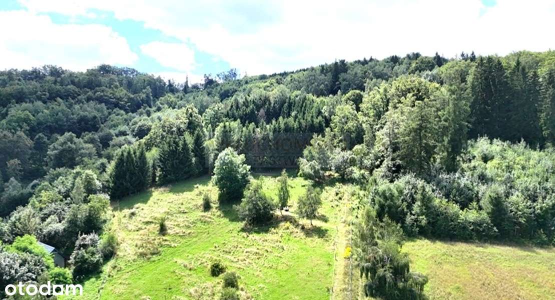Duża działka budowlano-inwestycyjna/Góry Sowie!-13