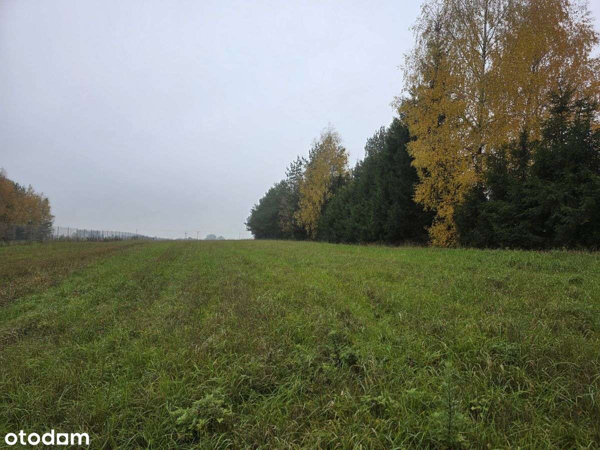 Działka Z Linią Brzegową Jeziora Okmin, Suwałki-3