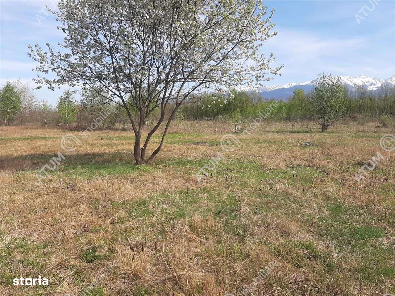 Teren intravilan 2700 mp pe Valea Avrigului localitate Avrig - Imagine principală: 3/7