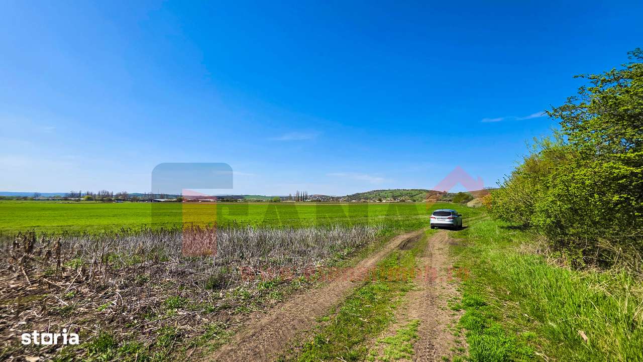 Teren 3.000 mp cu panorama superba asupra Sibiului |SkyVideo-4