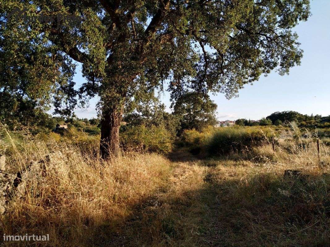 Quinta  em Castelo Branco - Grande imagem: 5/17