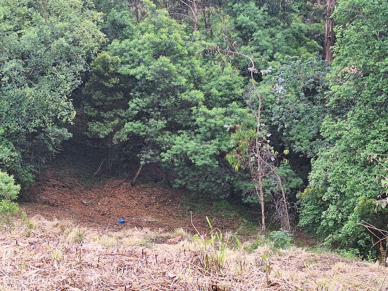 CPM26001  desde 79,96€/m2 Terreno Urbano Gaia c vistas p/ Rio Douro!!!-10