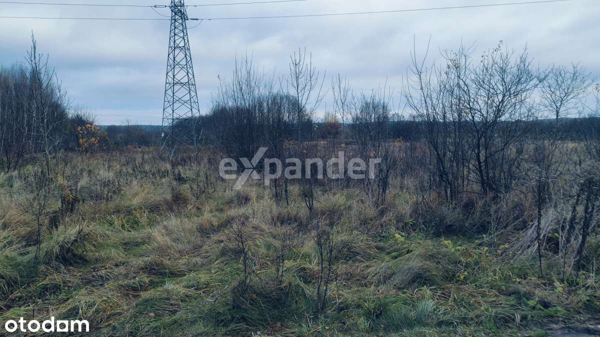 Działka budowlana 1,3 ha w Turku - Pełny obrazek: 4/14