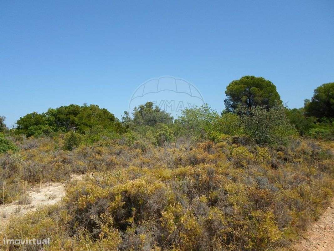 Terreno  para venda - Grande imagem: 3/9