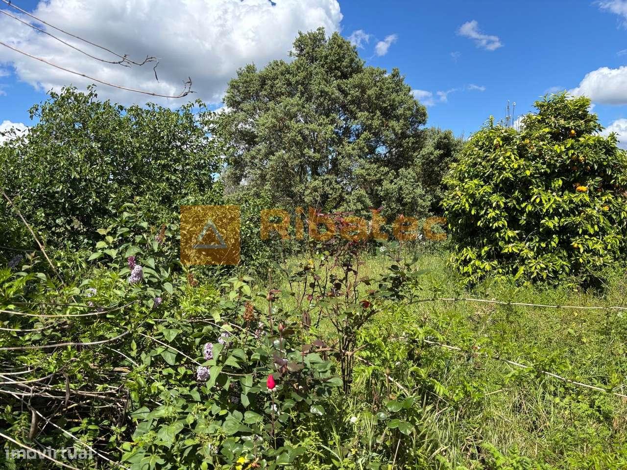 Terreno  Venda em Coruche, Fajarda e Erra,Coruche-4