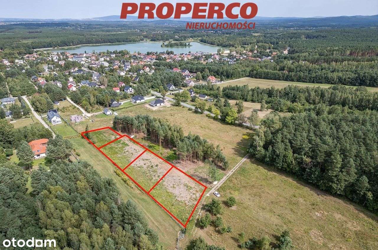 Działka 876m2, las, zalew - Borków gm.Daleszyce - Pełny obrazek: 5/7