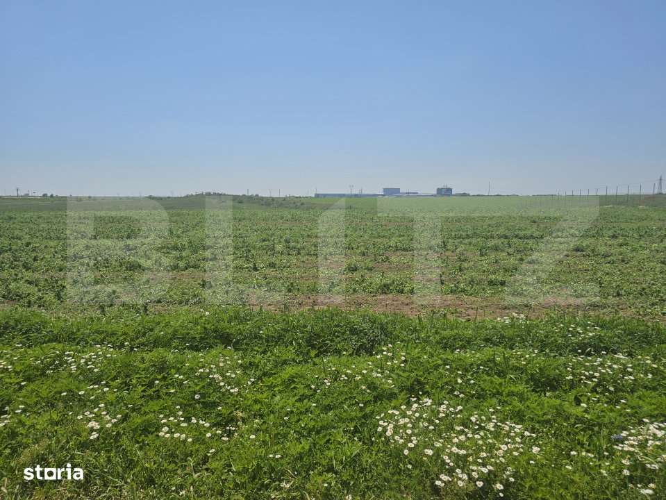 Teren intravilan 1089-1018 mp in zona Pielesti - Imagine principală: 4/4