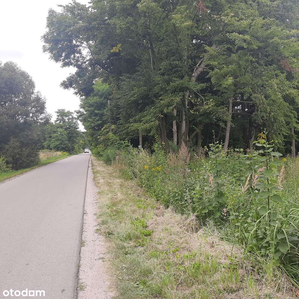 Działka budowlana Aleksandria, Puszcza Mariańska-1