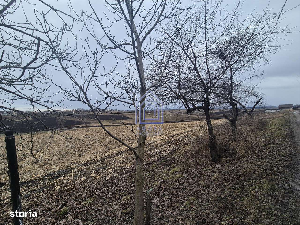 Teren Moara Nica - zona Scolii-1