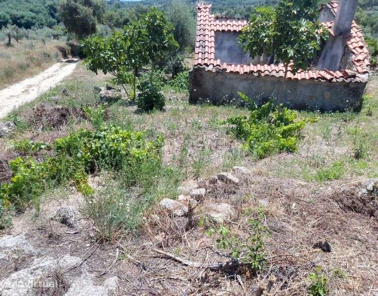 Terreno / Fundão, Vale de Prazeres e Mata da Rainha - Grande imagem: 2/8