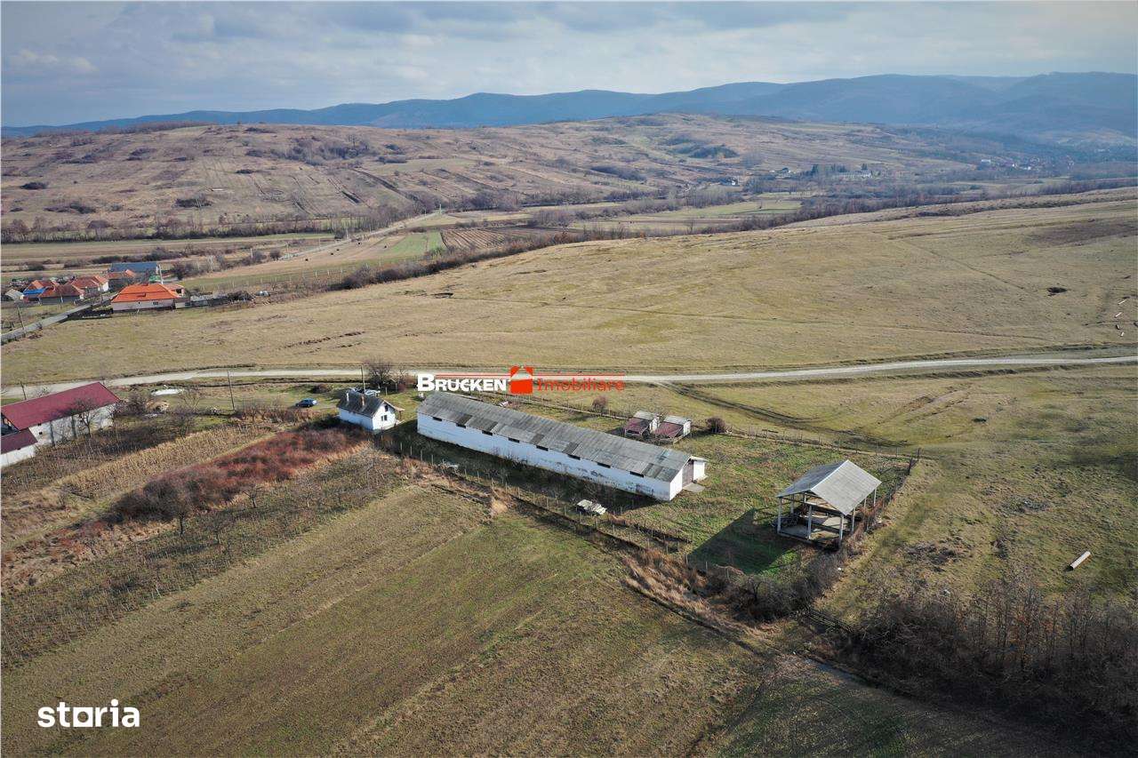 MICRO-FERMA + CASA IN VOIVOZI - BIHOR - Imagine principală: 5/20