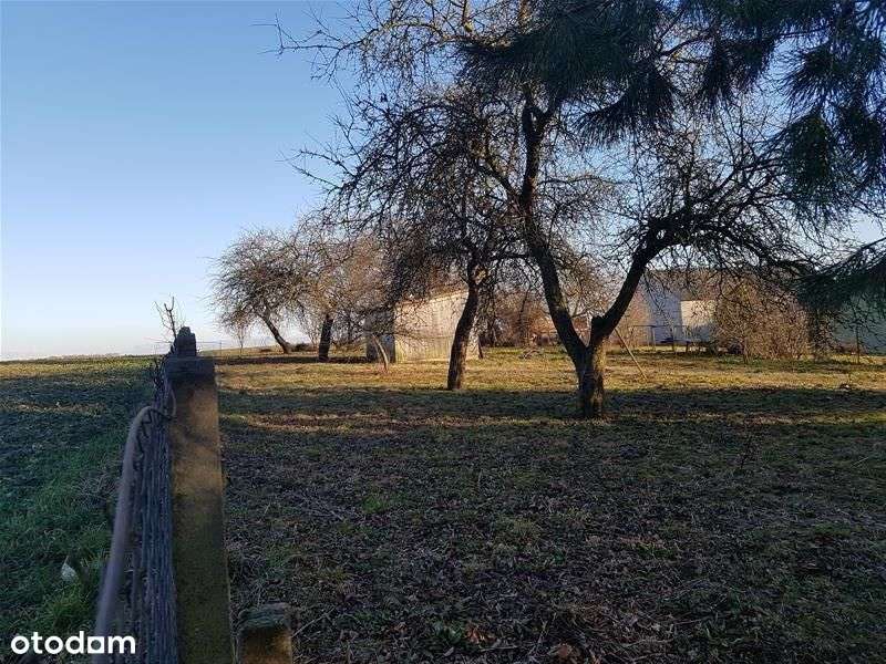 Tymień działki inwestycyjne,budowlane 5km od morza-4