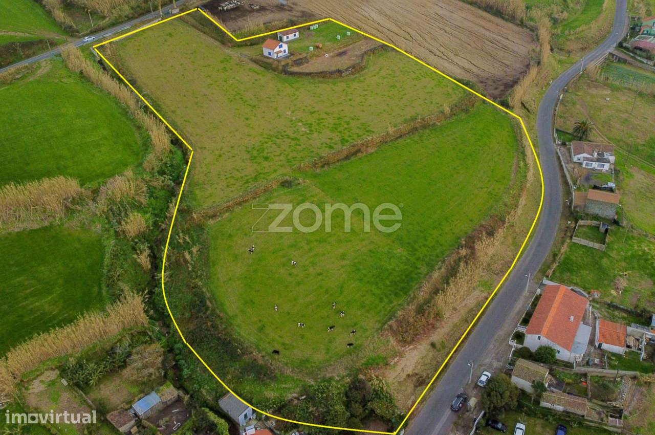 Terreno Rústico de elevado potencial na freguesia das Feteiras - Grande imagem: 5/20