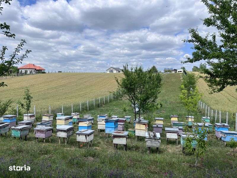 Teren + Autorizatie de constructie pentru casa - Imagine principală: 4/6