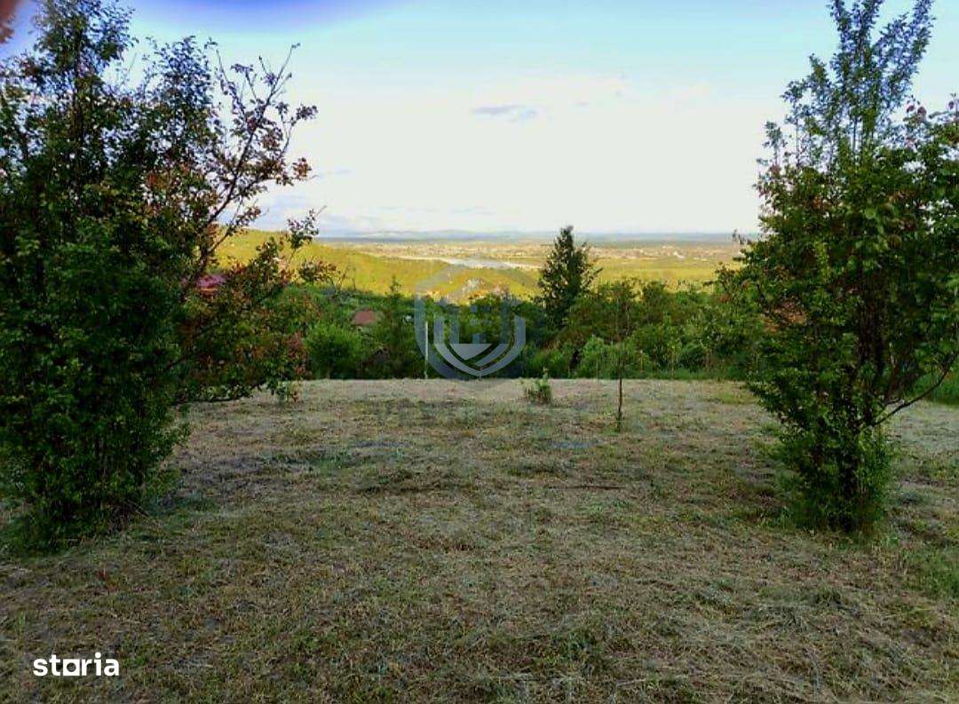 Teren Intravilan, Podgoria - Imagine principală: 2/5