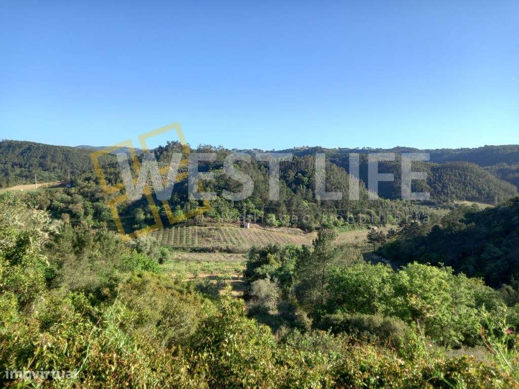 Terreno em Sobral de Abelheira - Terreno rústico com 24123m2 - Grande imagem: 3/15