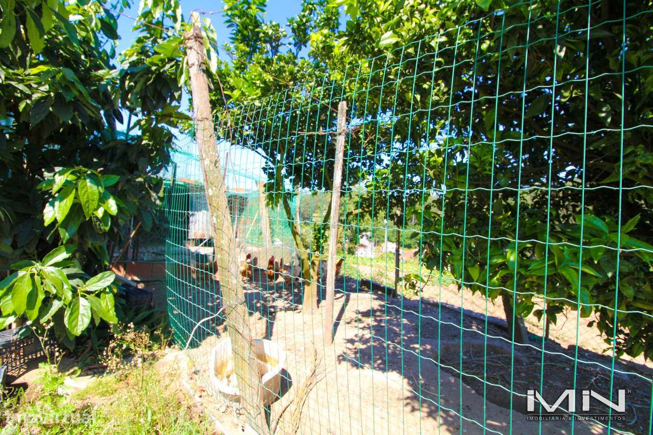 Mini Quinta com Construção Robusta, Poço, Adega e Viabilidade para Seg-34
