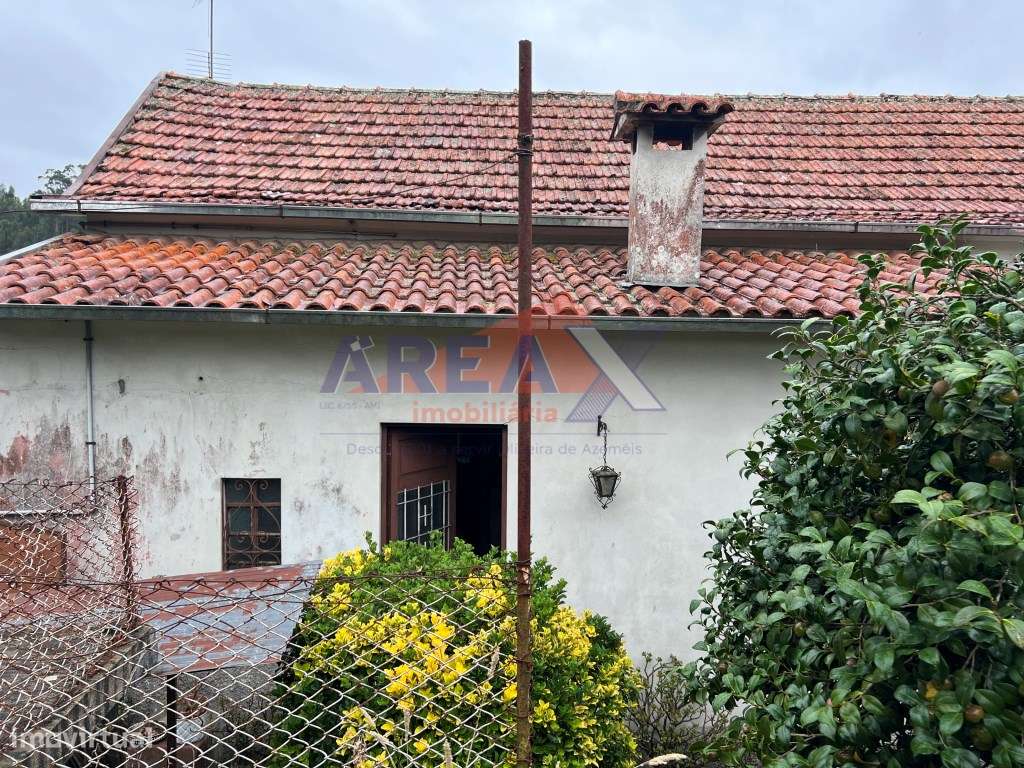 Oportunidade: 2 casas + artigo rústico com 2,0648 ha, perto de Oliv...-28