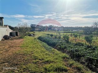 Terreno  para venda - Grande imagem: 5/7