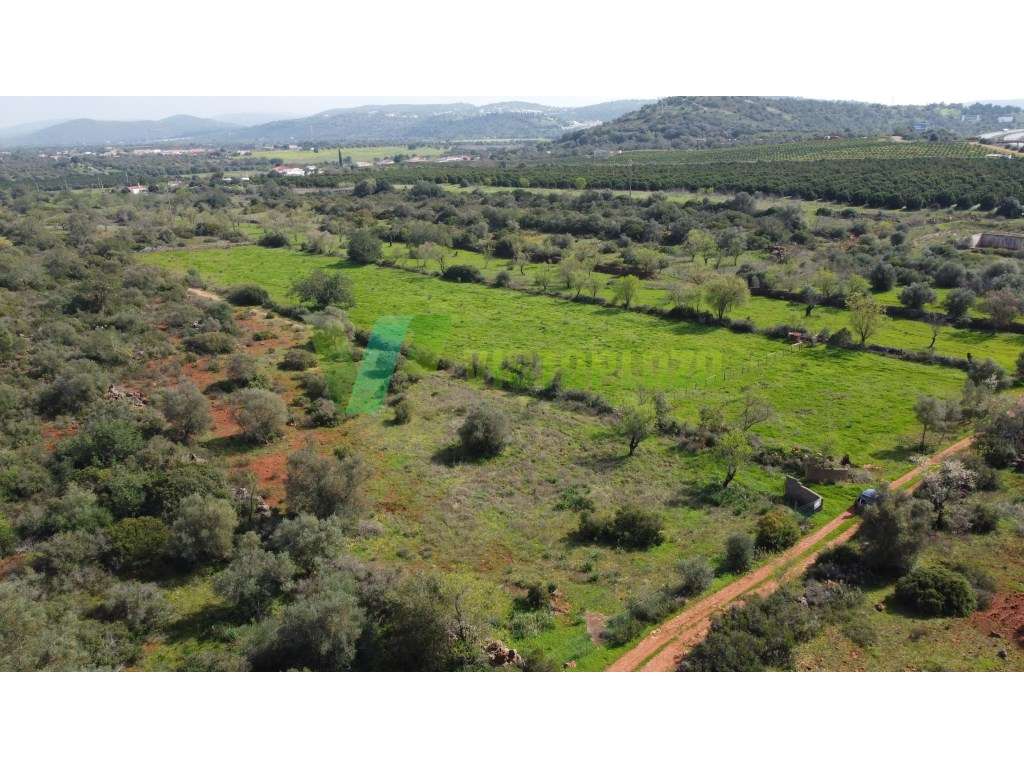 Terreno Rústico em Paderne , Algarve, com Vista Desafogada e Excele...-13
