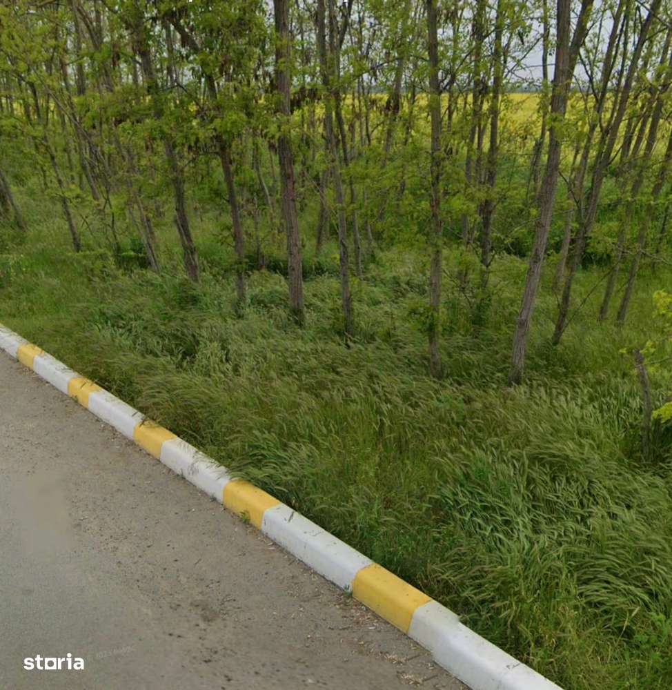 Teren 500 mp - Valu lui Traian | Zonă Rezidențială Nouă | Investiție-0