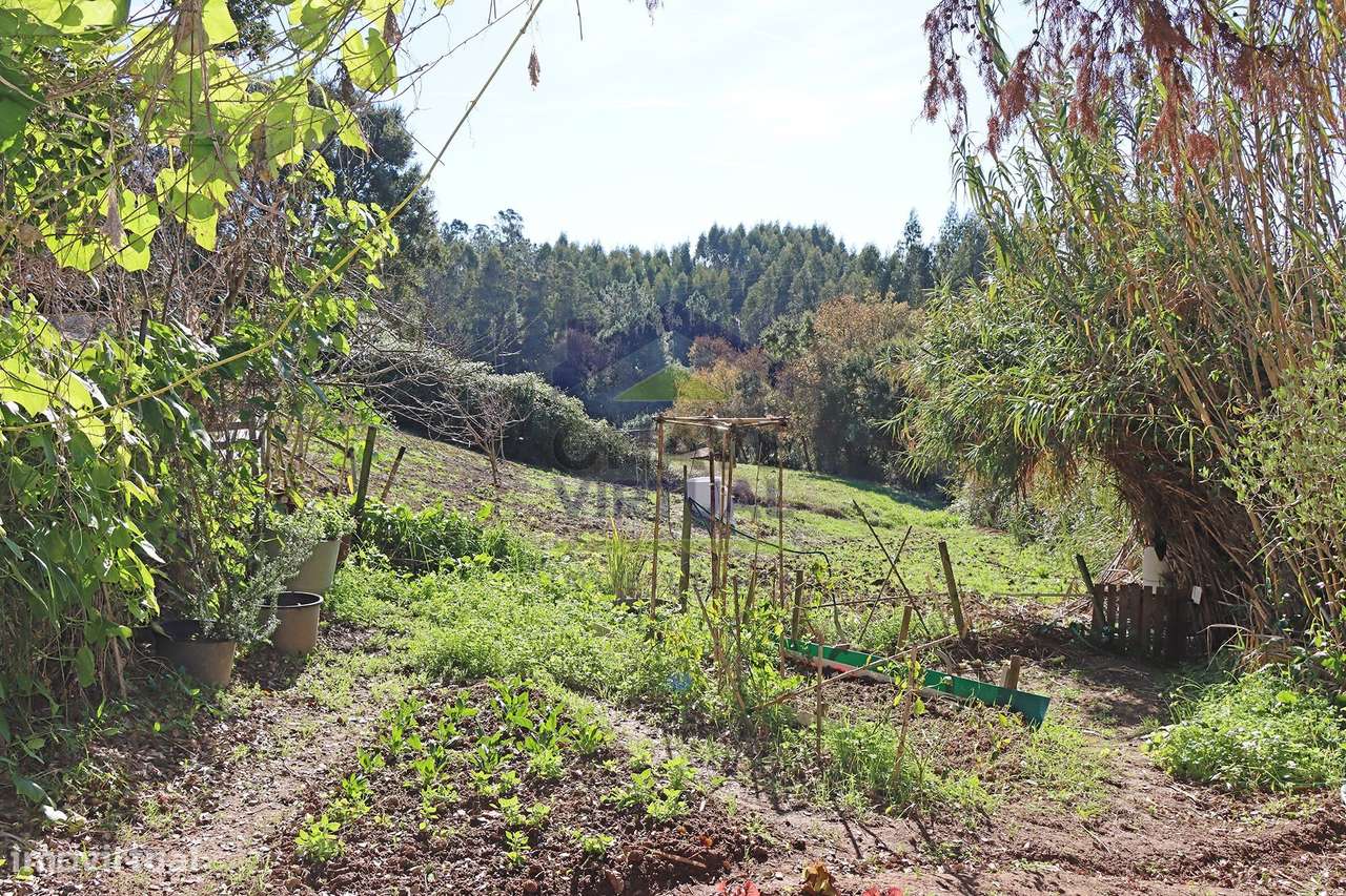 Magnífica Quinta c/ 10.490 m2 Concelho Cadaval-32