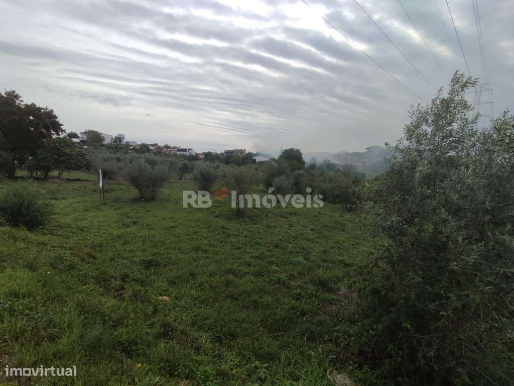 Terreno com 6720m² - Casais, Tomar - Grande imagem: 4/16