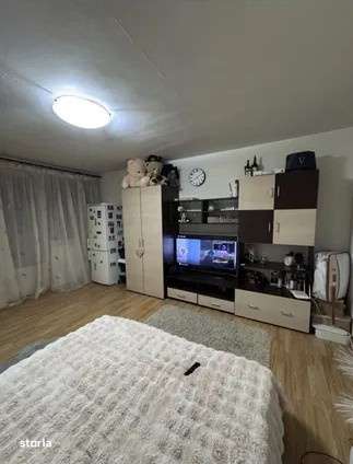 Garsoniera de vanzare, 28 mp, zona Brazda lui Novac - Piata Novac - Imagine principală: 2/5